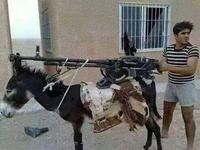 也门民兵把机枪架在驴背上