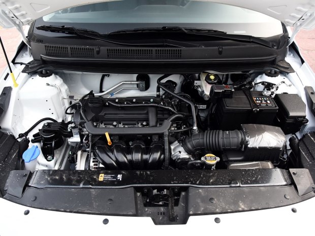 图片默认标题_fororder_瑞纳4