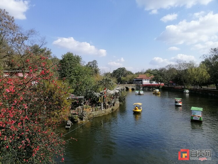（转载）自贡旅游別样美 就地过年年味足 全市13个A级旅游景区接待游客24.56万人次