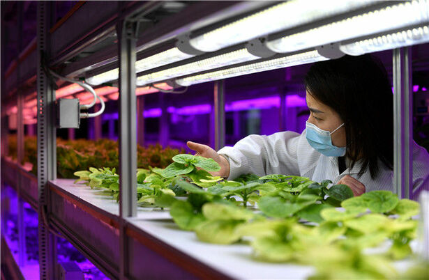 请阅卷！京津冀“期中考”成绩单