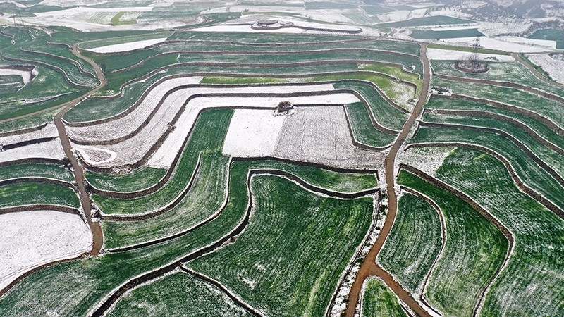 湖北丹江口万亩梯田春雪飘落