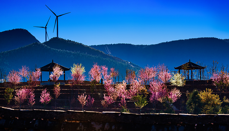 “阳光暖男”攀枝花：来一次就会爱上的城市_fororder_城市风光供图-攀枝花市委宣传部