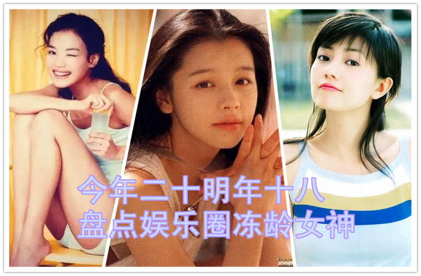 徐静蕾林心如高圆圆 女星年过40仍年轻美貌