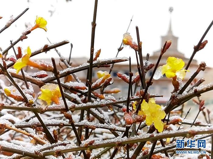 베이징에 내린 봄눈_fororder_3