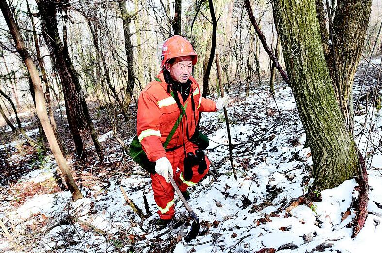 山伴兒——記保康官山林場麻坑分場護林員李清龍