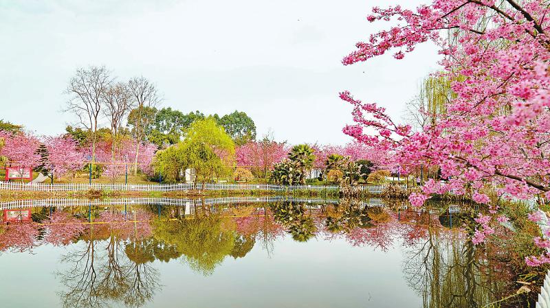 （转载）春暖花开日 赏花正当时