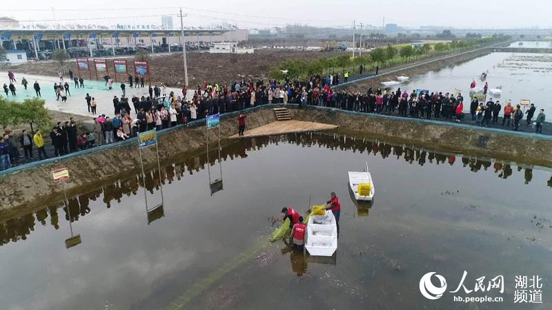 湖北潜江发布三条小龙虾主题旅游线路