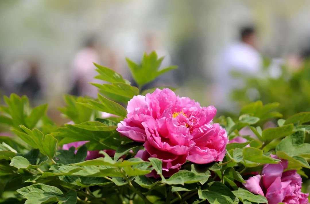 这是锦绣中华,也是锦绣世界!