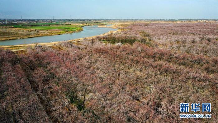 图片默认标题_fororder_1125723449_15844098914951n