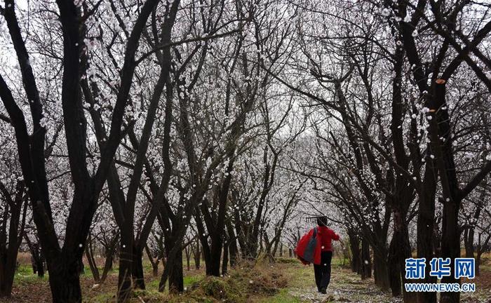 图片默认标题_fororder_1125723449_15844098914621n