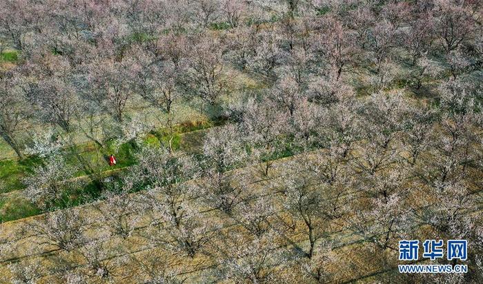 图片默认标题_fororder_1125723449_15844098915591n