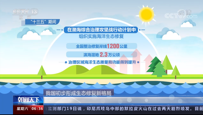 自然资源部：中国初步形成生态修复新格局