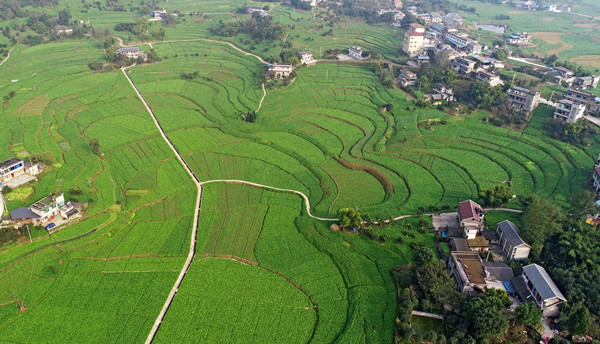 （已修改）【B】重庆涪陵：展地方特色风采 显广阔发展前景