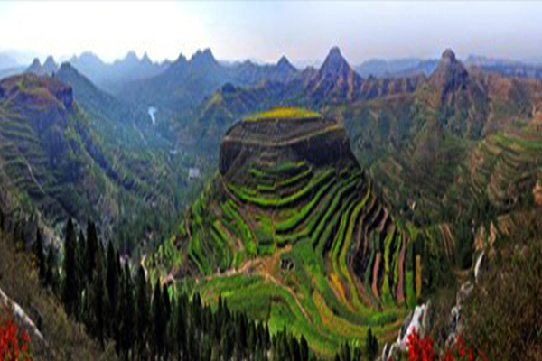 图片默认标题_fororder_1