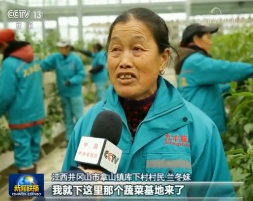 【新春走基層】江西井岡山:脫貧不鬆勁 致富再出發