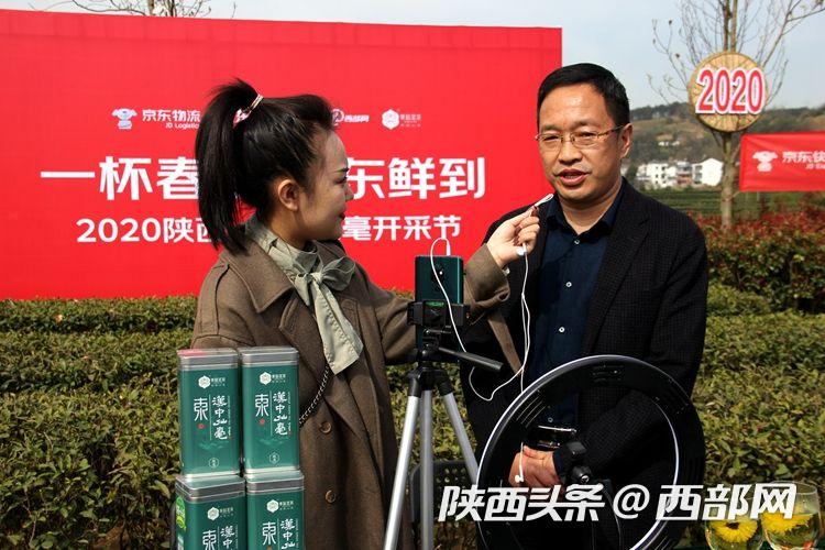 2020年漢中仙毫春茶開採上市 媒體+電商+直播助力銷售