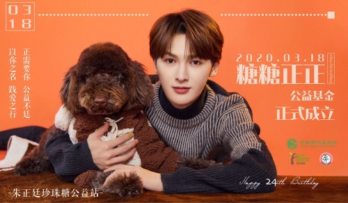 榜样的力量 朱正廷粉丝跟着偶像做公益