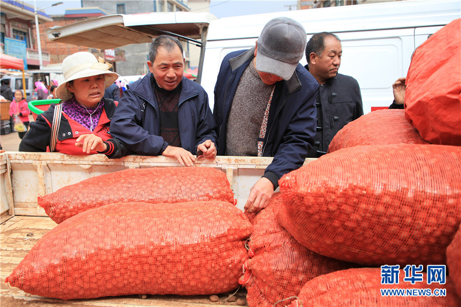 云南曲靖：珠江源头春耕忙