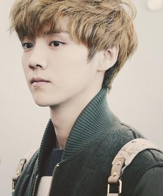 娱乐 滚动 >>正文  京城四瘫之一的傻狍子鹿晗是典型的北京爷们儿