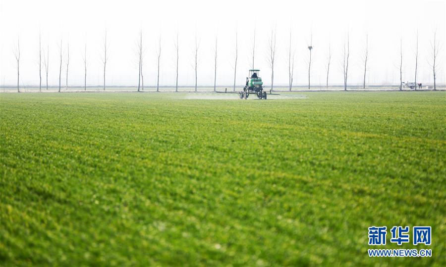 青州市：春来农事忙
