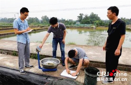 已过审【区县联动】潼南：开展3个鱼类品种对比试验测产工作【区县联动】潼南：开展鱼类品种对比试验测产工作