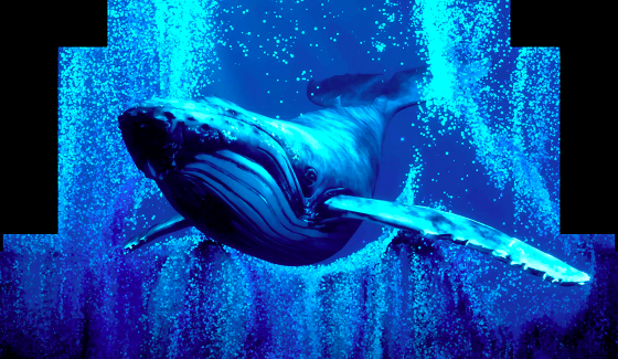 OUTPUT出品烟台万科壹都会光雕盛宴, 首创商业地产新业态