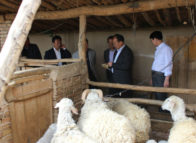 无字丰碑上 有你的名字——献给在脱贫攻坚战场牺牲的英烈