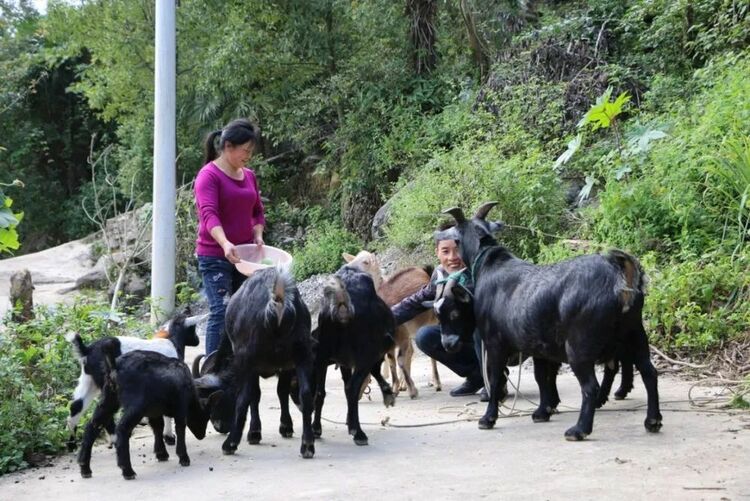 贵州山区渔民“退捕上岸”后的转产探索