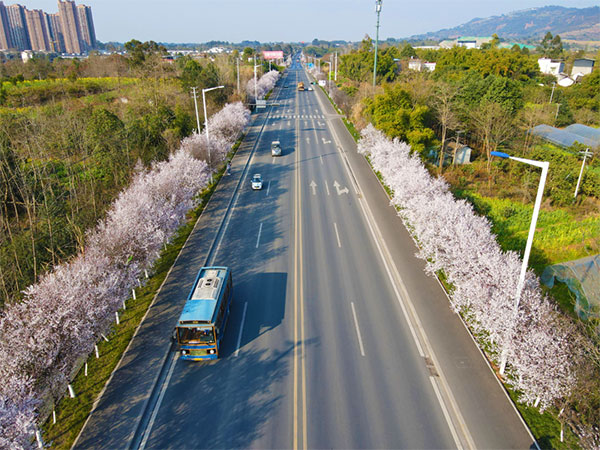 天府新区永兴街道：“三举措”提升城市精细化管理水平_fororder_2