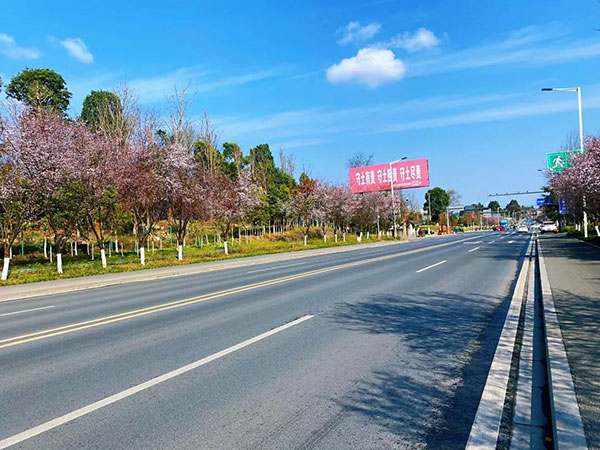 天府新区永兴街道：“三举措”提升城市精细化管理水平_fororder_1