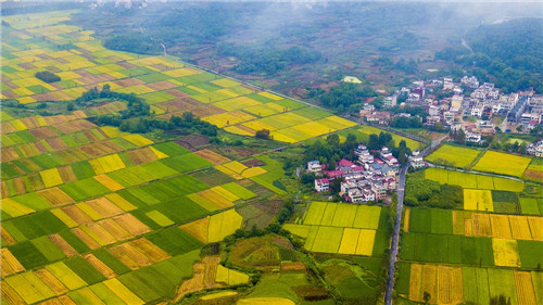 Food security, pinahahalagahan ng Tsina_fororder_a7d6a795aae3458f89a859629715e5e9