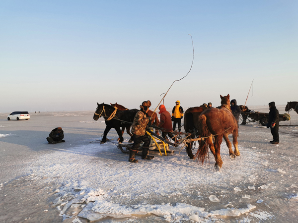 การเจาะน้ำแข็งจับปลาในทะเลสาบฉาการหูน่ามหัศจรรย์มาก_fororder_0223-3