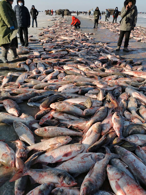 การเจาะน้ำแข็งจับปลาในทะเลสาบฉาการหูน่ามหัศจรรย์มาก_fororder_0223-5