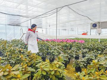 （转载）林业产业破瓶颈园区里面找答案