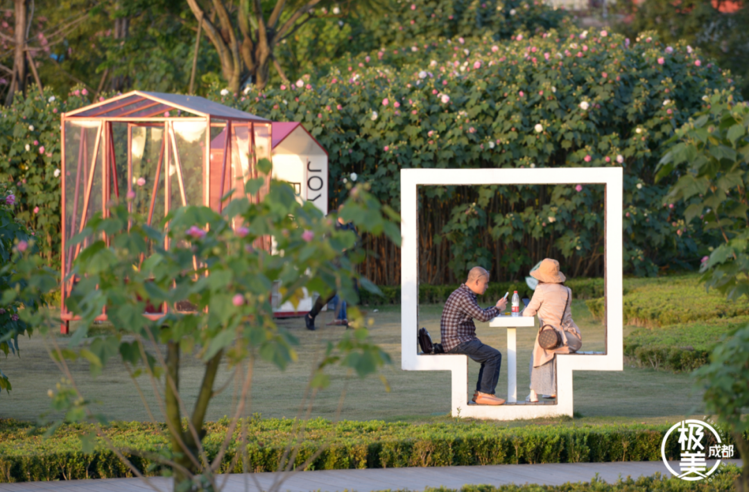 （转载）成都是如何打造绿水青山的？