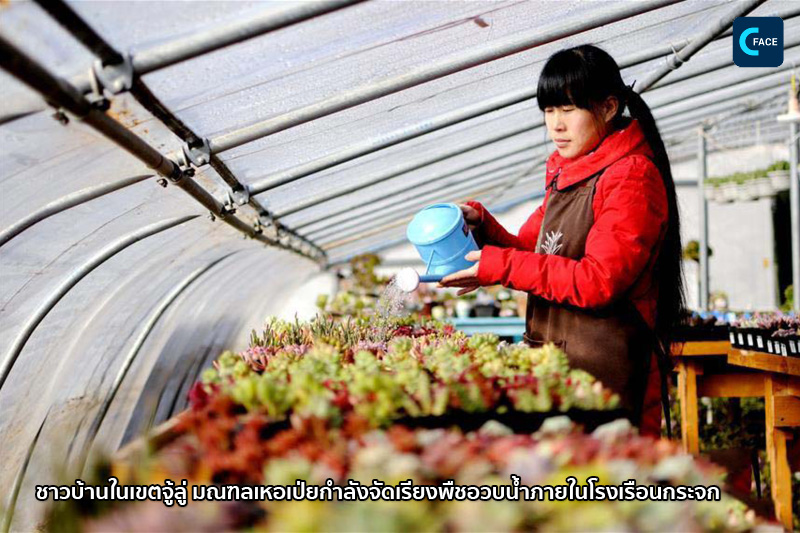 图片默认标题_fororder_06_2