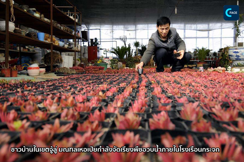 图片默认标题_fororder_06_3