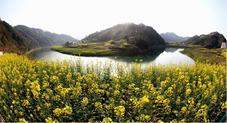 图片默认标题_fororder_2