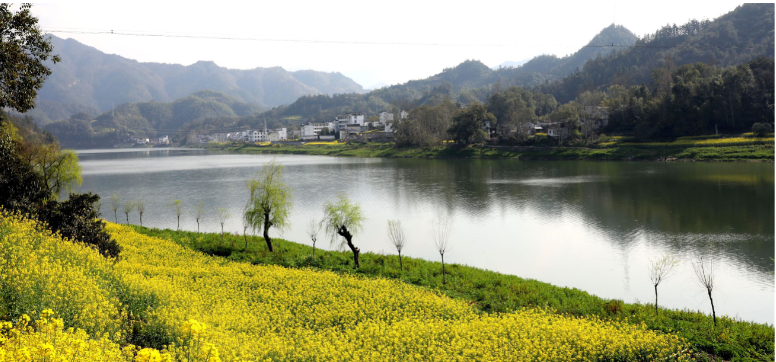 图片默认标题_fororder_3