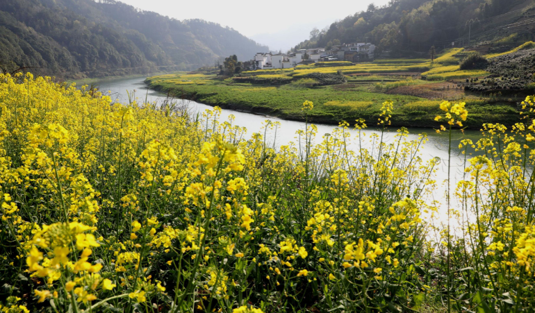 图片默认标题_fororder_1