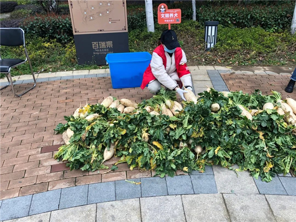 【湖北】武汉城市职业学院下沉教师熊雯：抗“疫”中的“小战神”