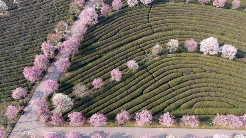 江西南昌:春遊鳳凰溝