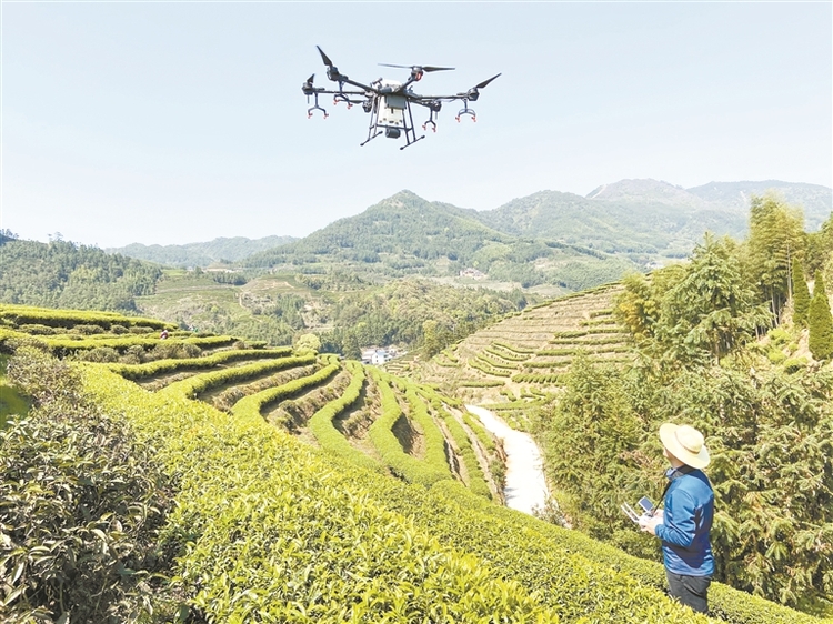 宁德科技扶贫:科技赋能出实招 精准扶贫见成效