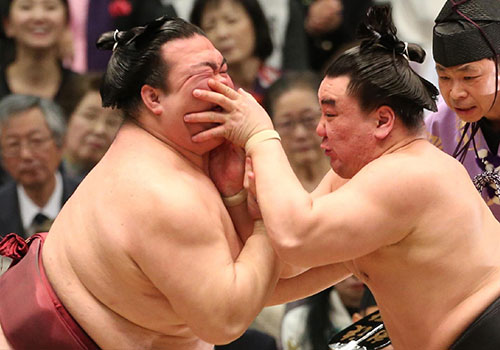 强悍的相扑手:最受美女青睐 女相扑手抢镜