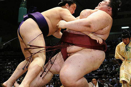 强悍的相扑手:最受美女青睐 女相扑手抢镜