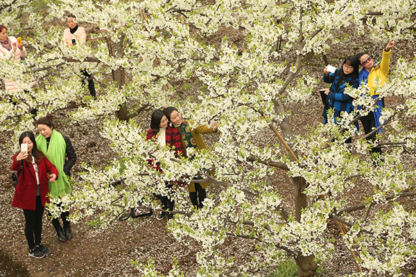 美丽四川｜满园春色关不住 眉山春景已上线_fororder_1