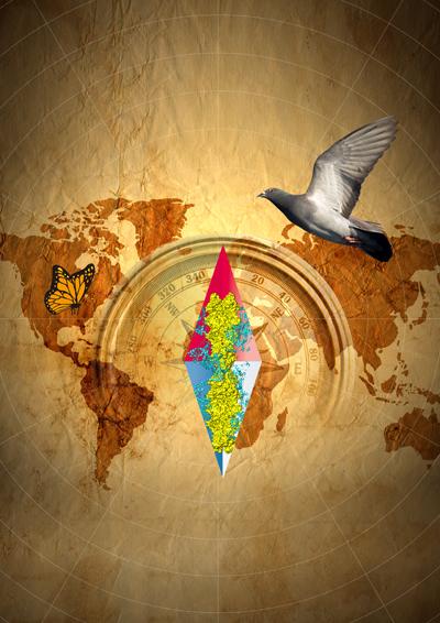 中國科學家或揭開生物第六感之謎