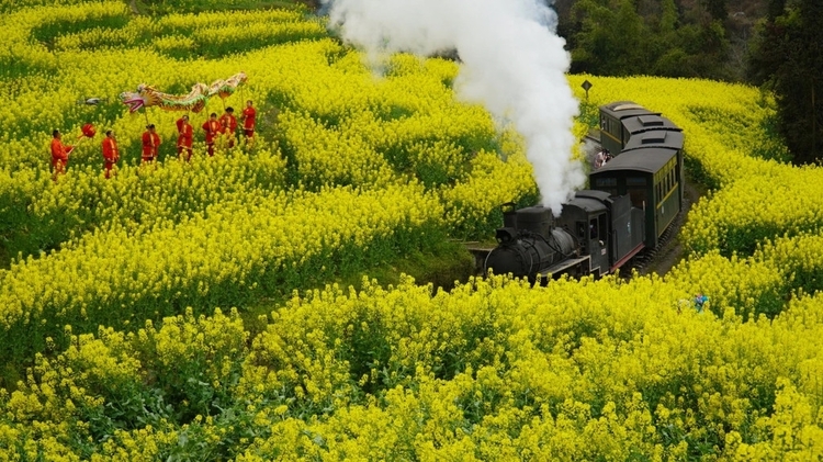 乐山网红打卡地又添新玩法 这辆小火车终点玩"穿越"