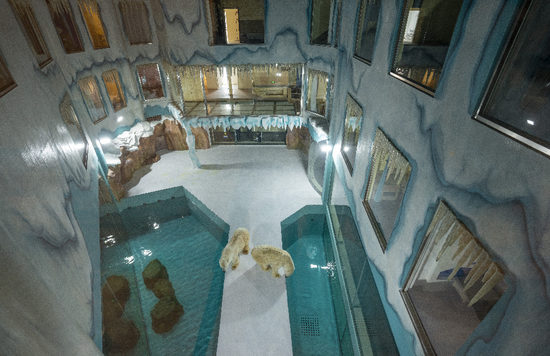 與北極熊做鄰居 全球首個北極熊酒店將於3月12日營業啦