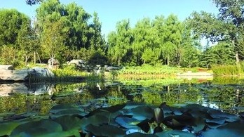 图片默认标题